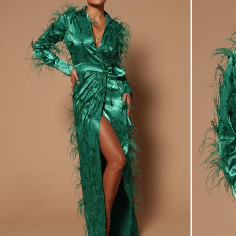 Tenisha long sleeve feather Maxi dress